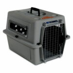 sky-kennel-kuljetuslaatikko-sky-kennel-s-2b