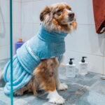 topline-badrock-till-hund-gra-56