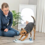 trixie-dog-activity-skills-loop-az-64