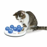 Aktivointilelu Trixie Cat Solitaire trixie-katt-aktivetsspel-solitaire-45