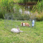 trixie-natura-utomhushage-126-58-cm-b4