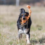 Trixie Köysipallo ø 8/38 cm trixie-playing-rope-with-ball-o8-38cm-az-1b