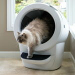 whisker-litter-robot-4-valkoinen-az-9e
